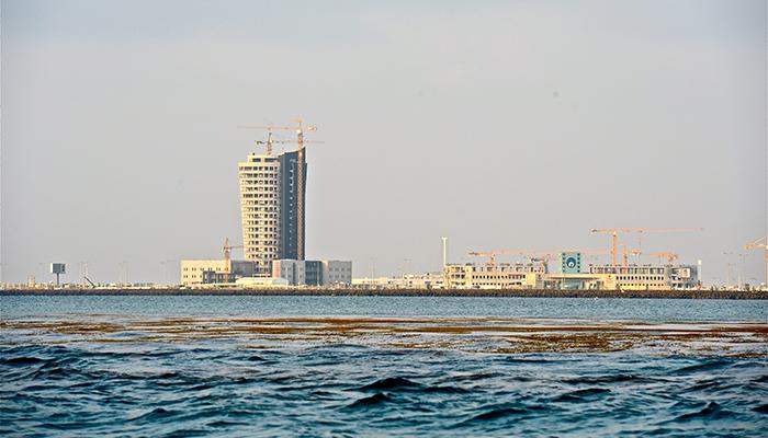 جامعة جازان مرفأ للعلم على شواطىء البحر الأحمر