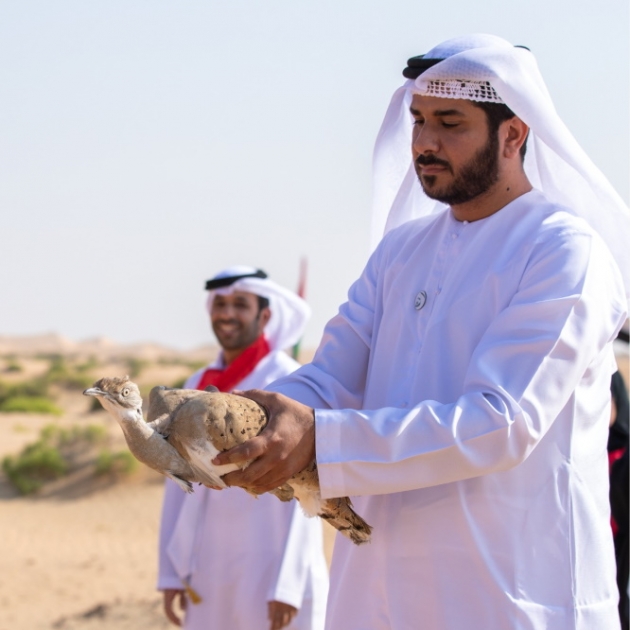 The International Fund for Houbara Conservation Releases 51 Houbara to  Celebrate UAE's 51st National Day